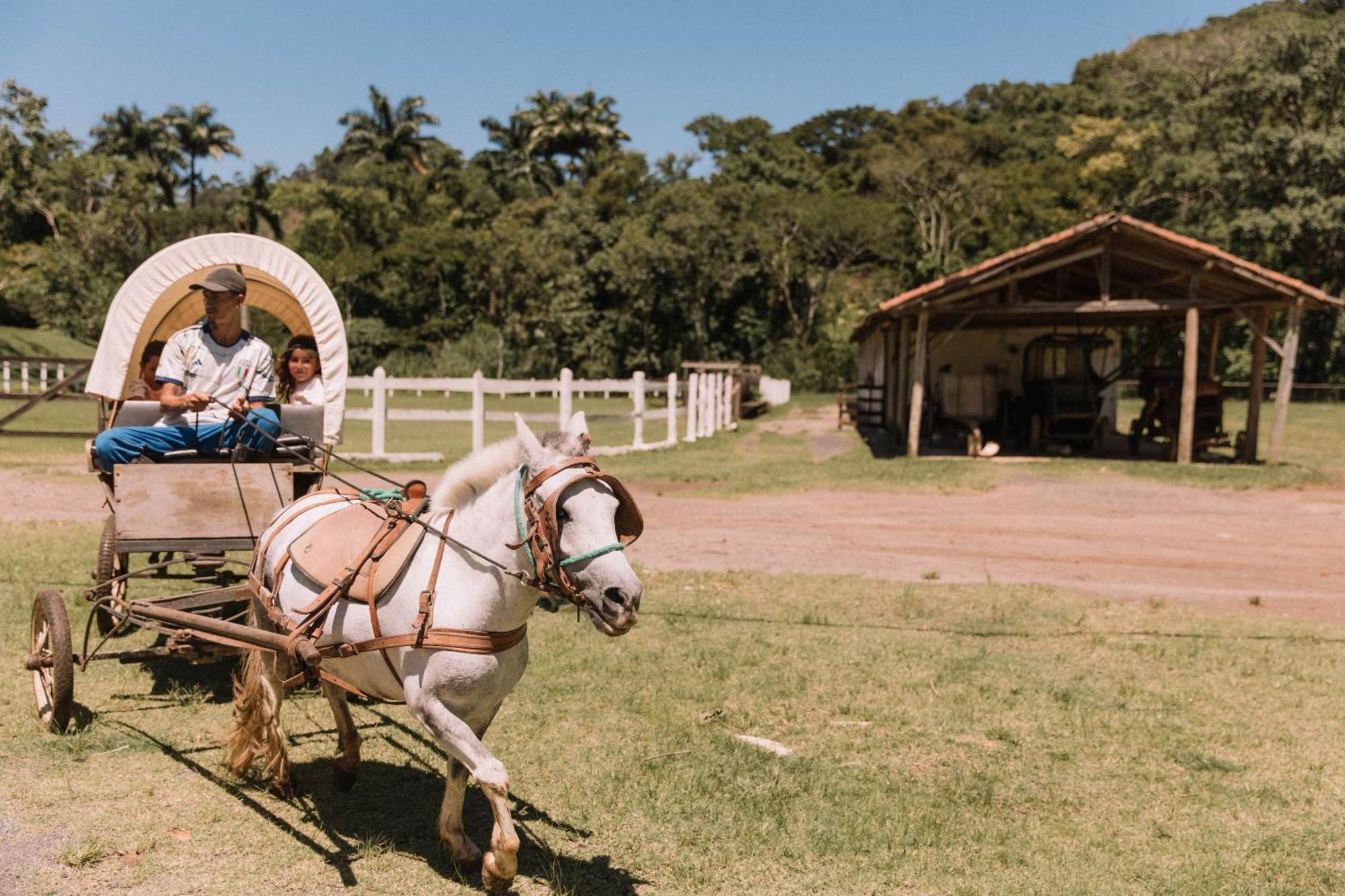 Resort Fazenda 3 Pinheiros Engenheiro Passos Ngoại thất bức ảnh