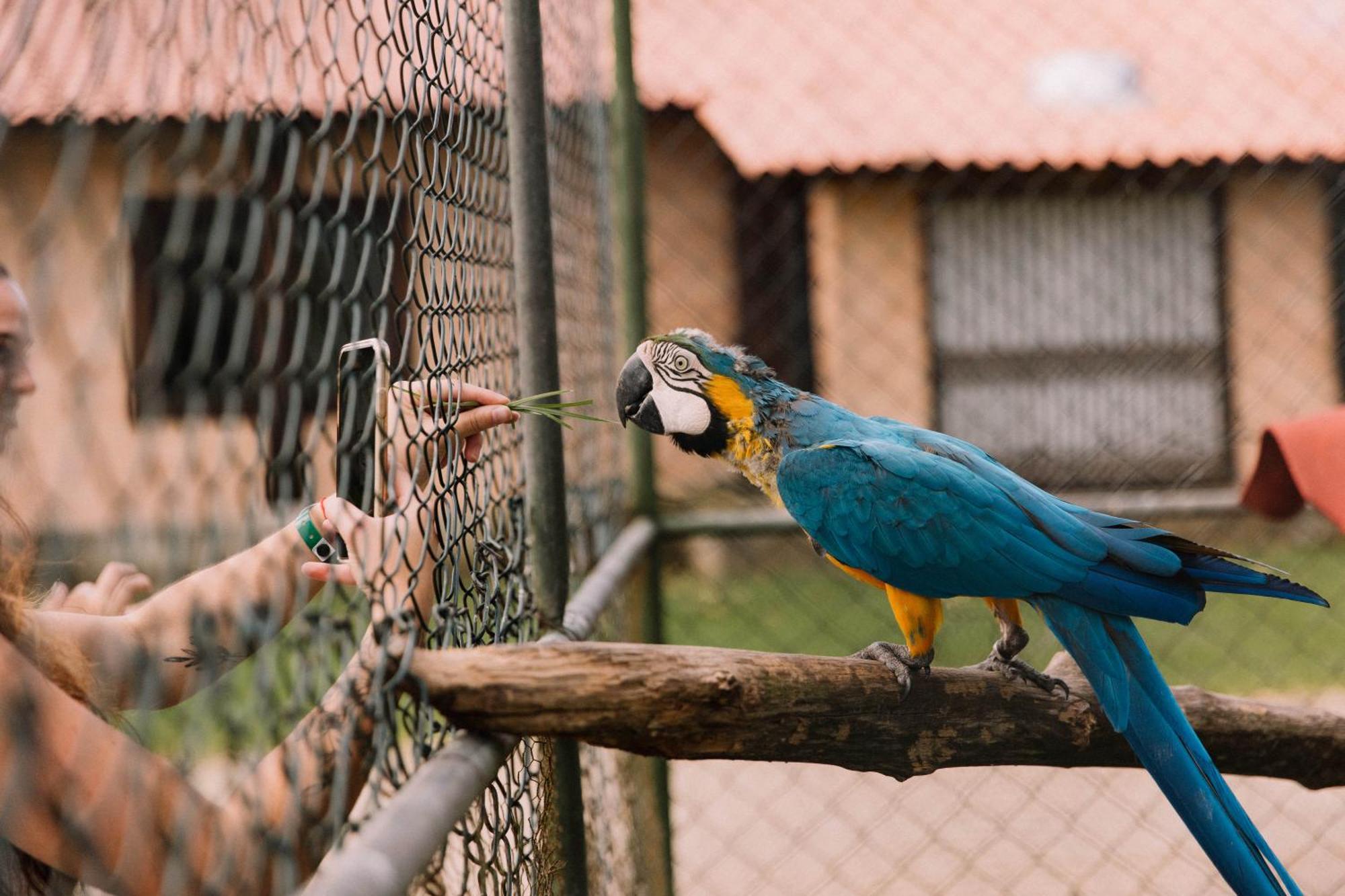 Resort Fazenda 3 Pinheiros Engenheiro Passos Ngoại thất bức ảnh
