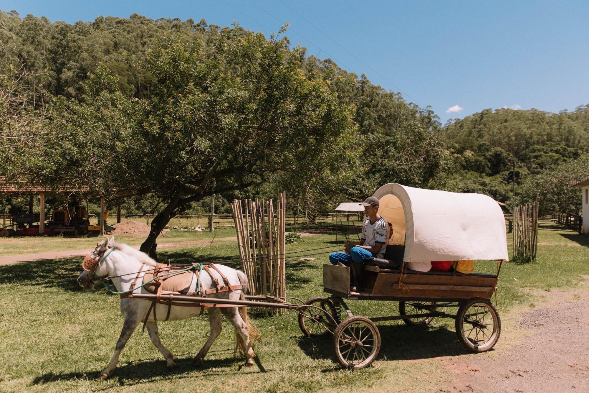 Resort Fazenda 3 Pinheiros Engenheiro Passos Ngoại thất bức ảnh